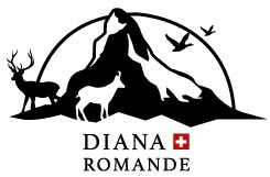 Diana Romande